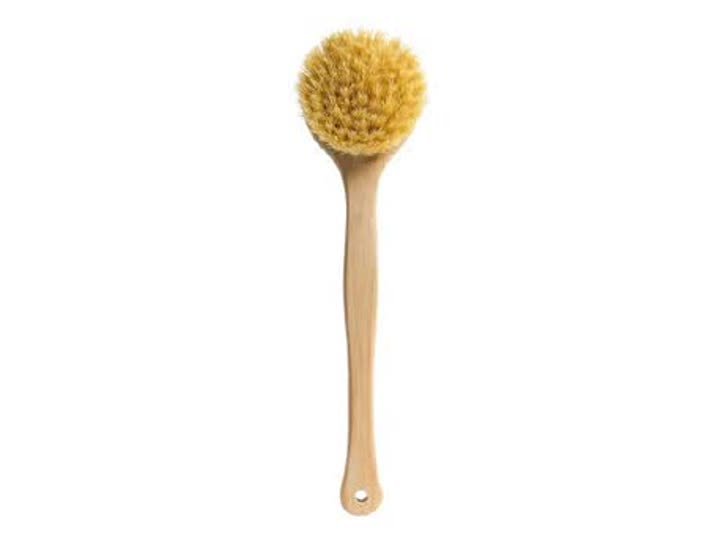 Banyo Fırçası, Tampiko Otu