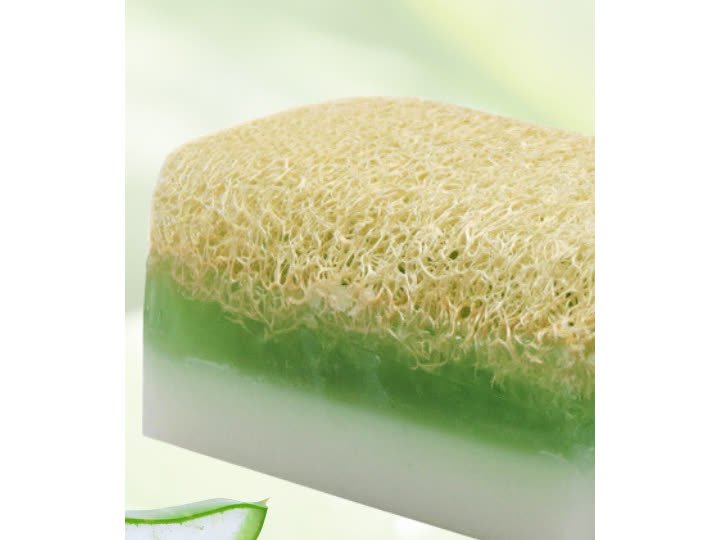 Aloe Vera Özlü Kabak Lifli Sabun